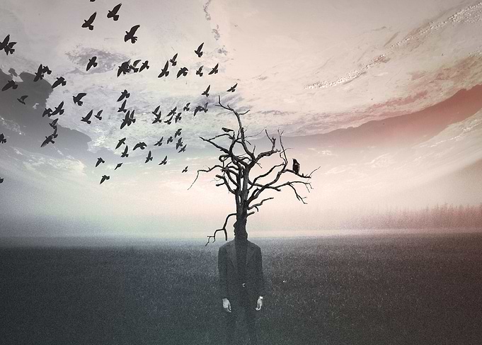 Raven