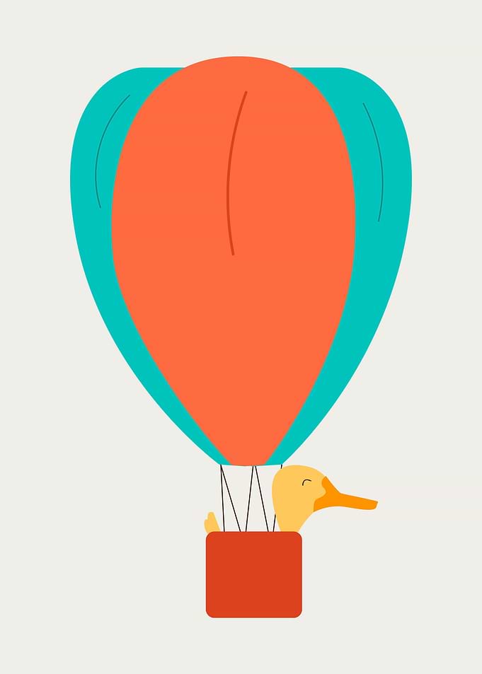 Duck hot balloon