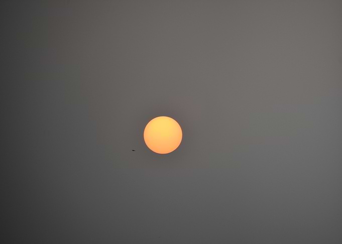 Beauty of the Rising Sun