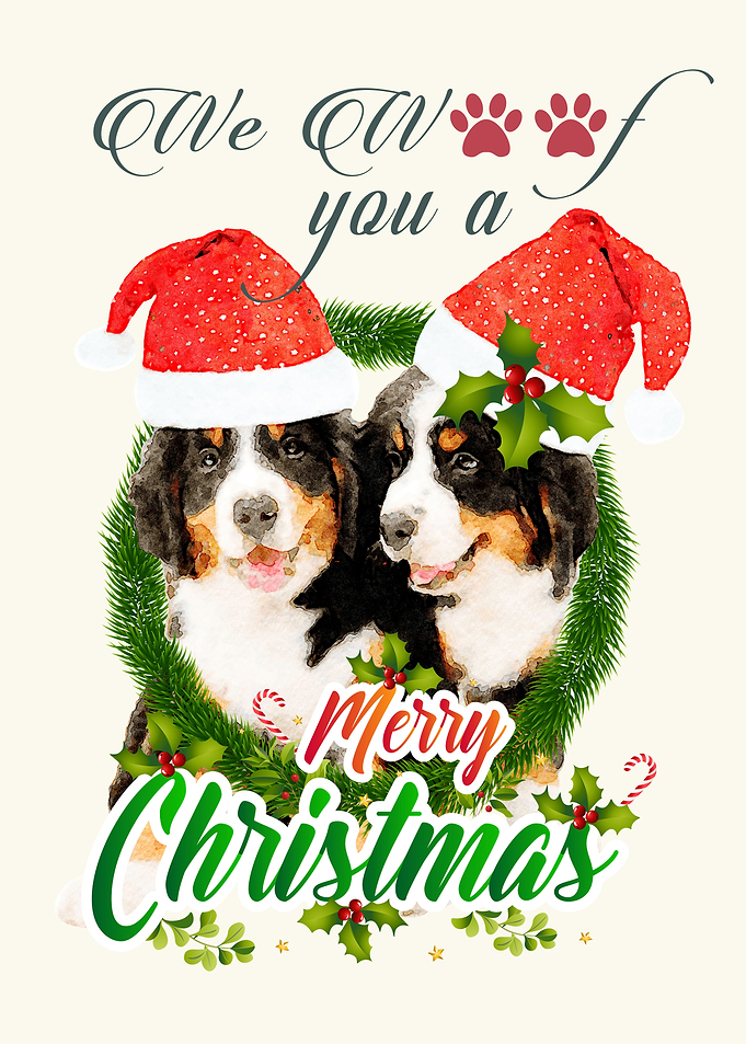 Christmas Gifts Ideas