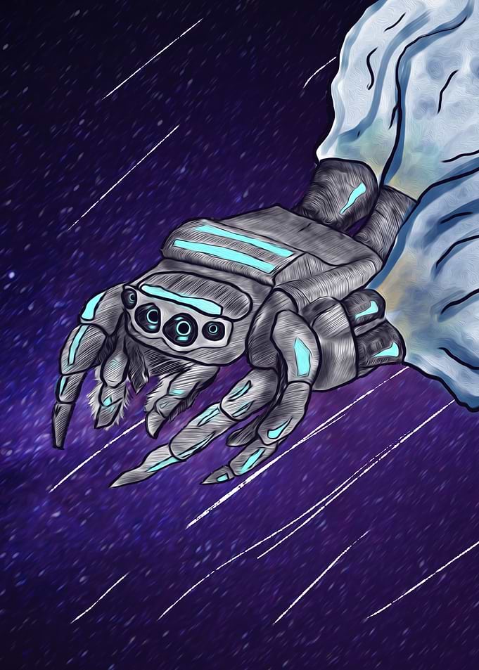 SpiderShip