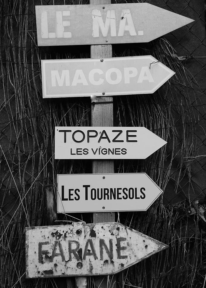 Les Tournesols in SaintTro