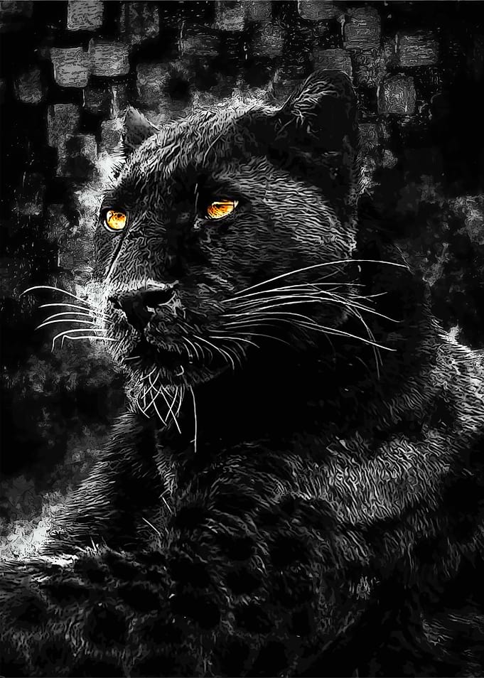 Black Panther Golden eyes