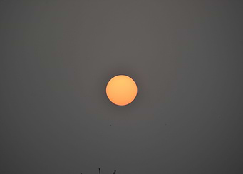 Beauty of the Rising Sun