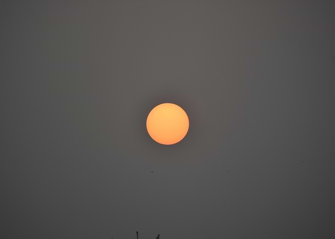 Beauty of the Rising Sun