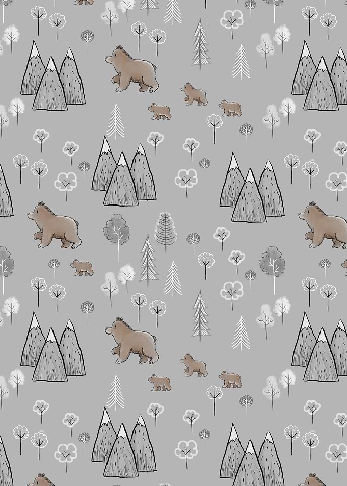 Mountains and Bears