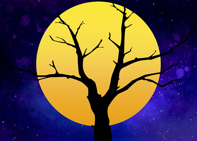 Dead Tree In The Moon