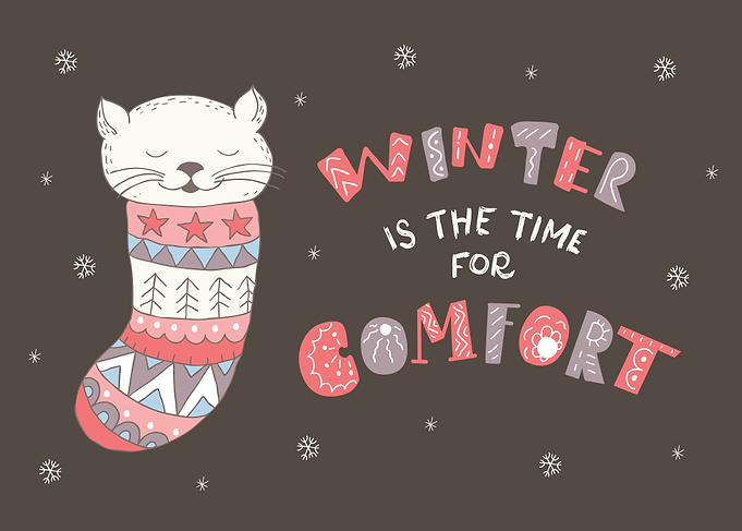 Winter Kitten