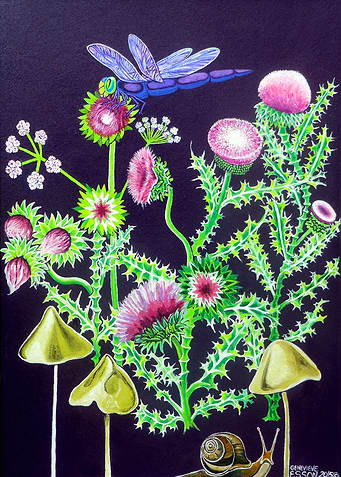 Thistle With Dragonfly