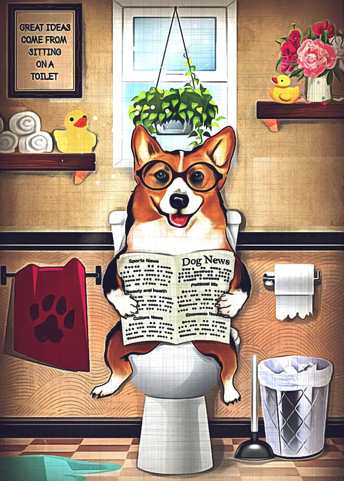 Corgi