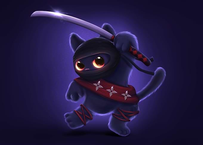 Ninja Cat