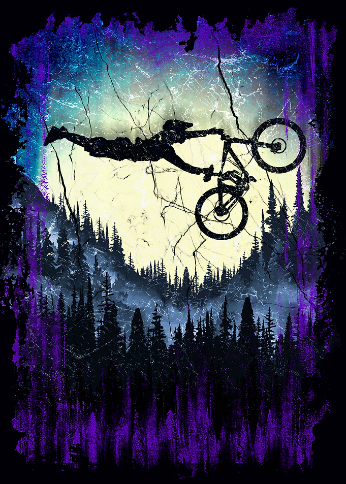 MTB Bike Art
