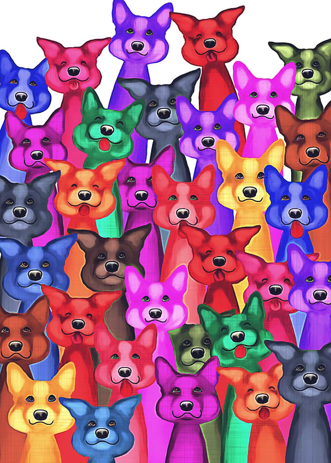 Corgi