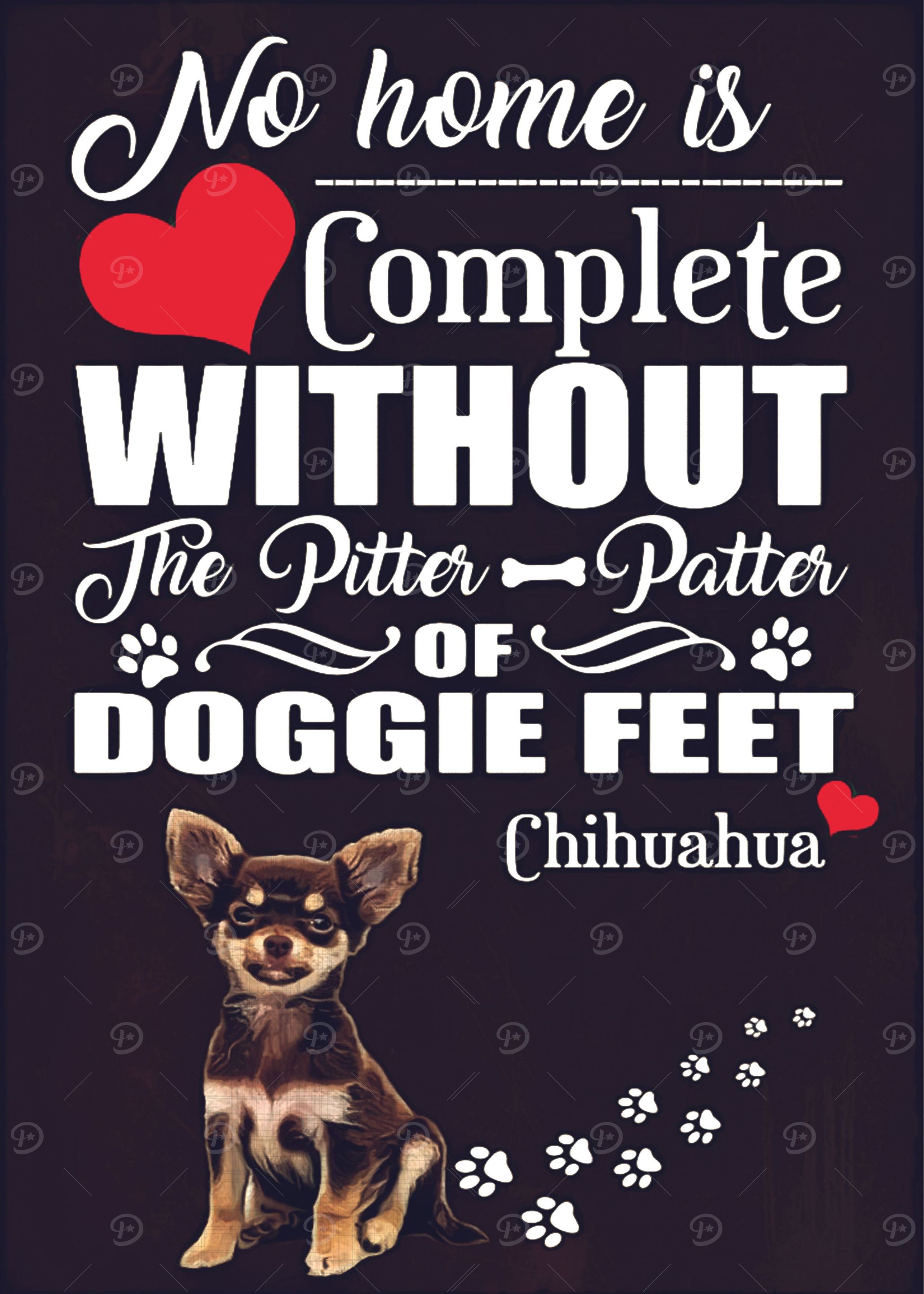 Chihuahua