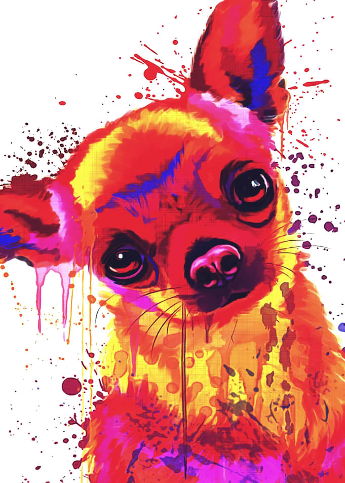 Chihuahua