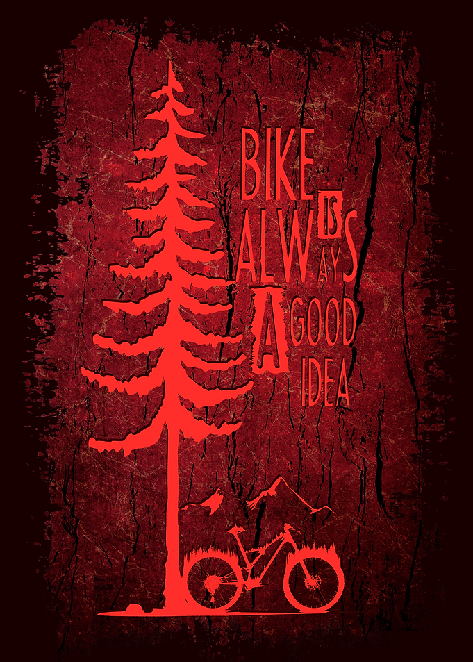 MTB ARTRIDE