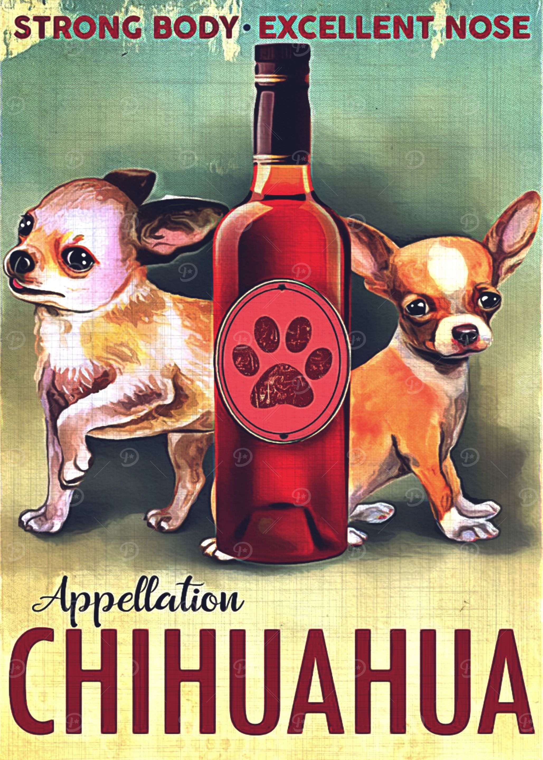 Chihuahua