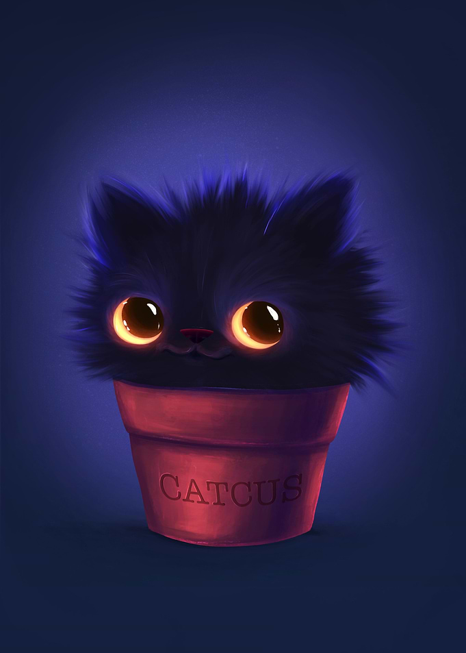 Catcus