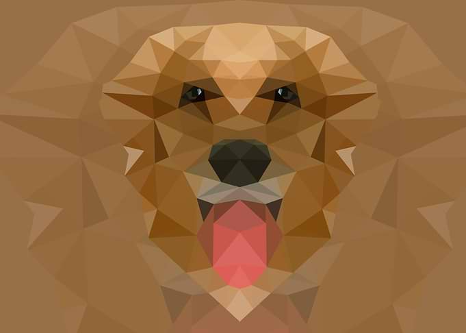 Dog Polygon