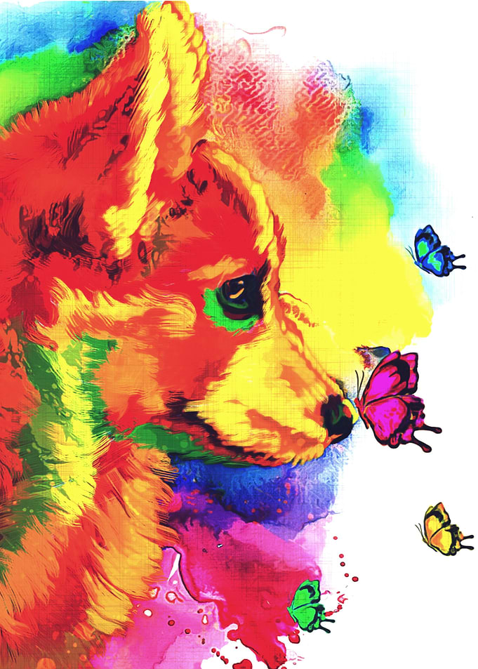 Corgi
