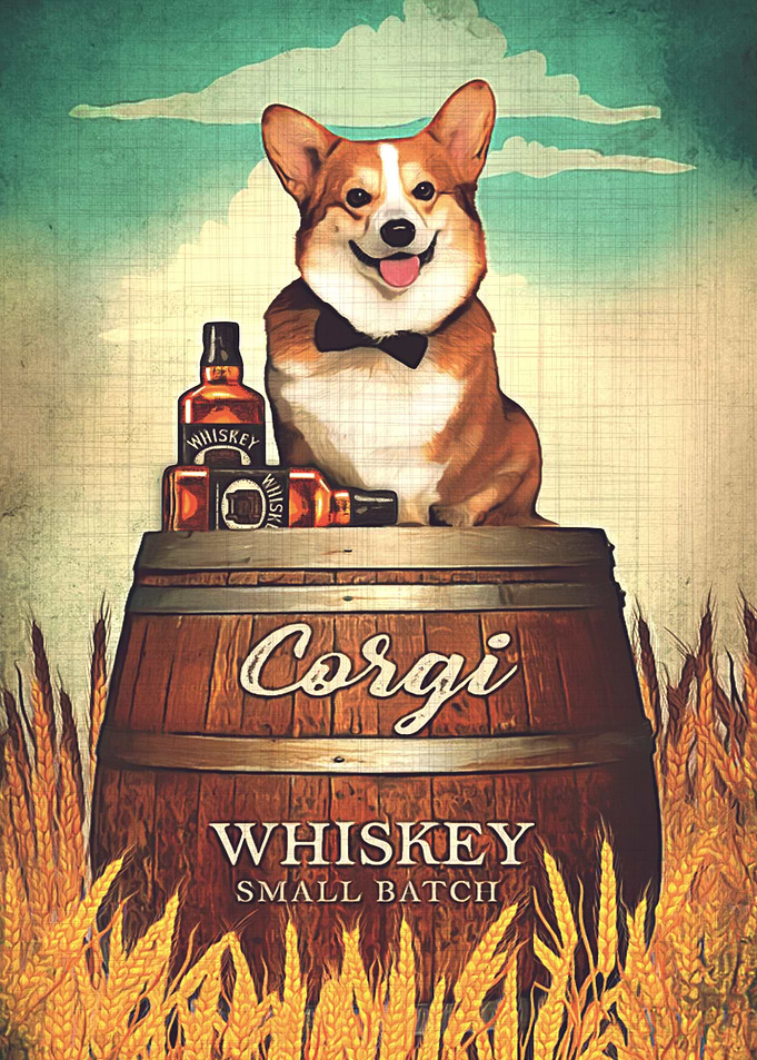 Corgi