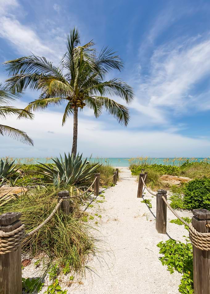 Path to the beach