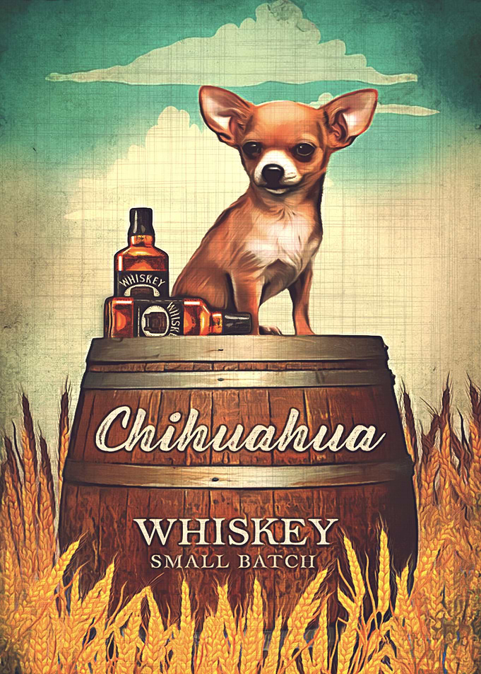 Chihuahua