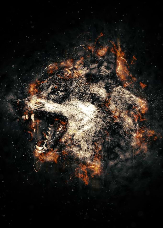 Howl