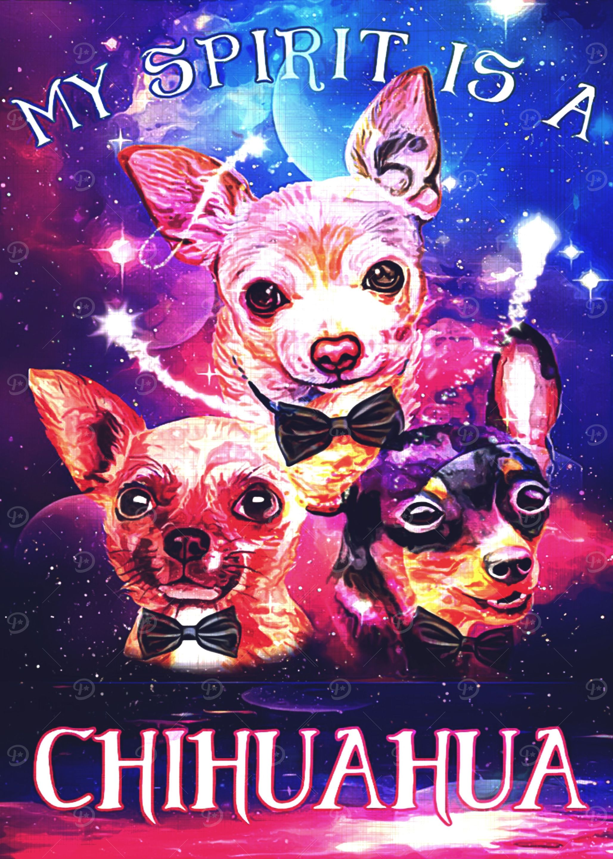 Chihuahua