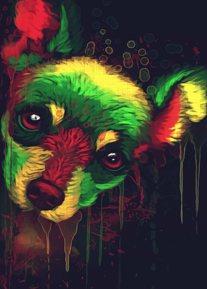 Chihuahua