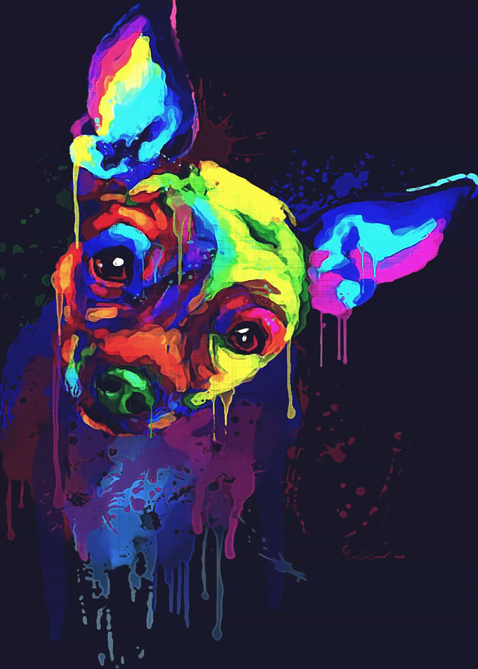 Chihuahua