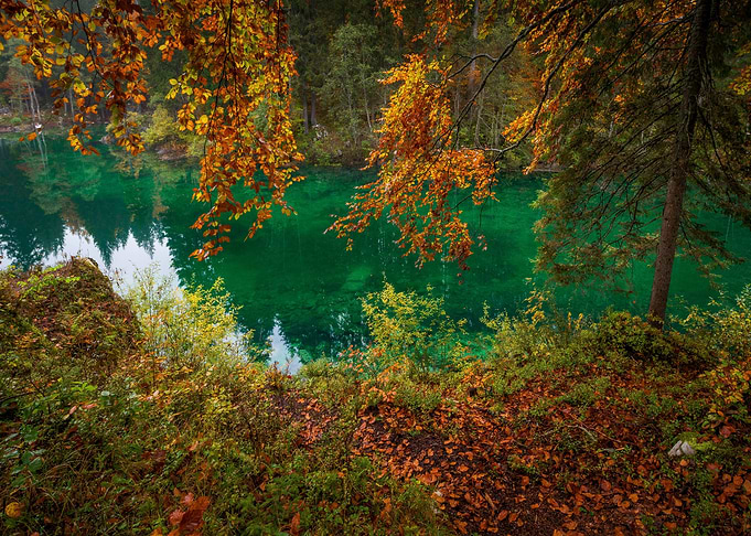 Green Water