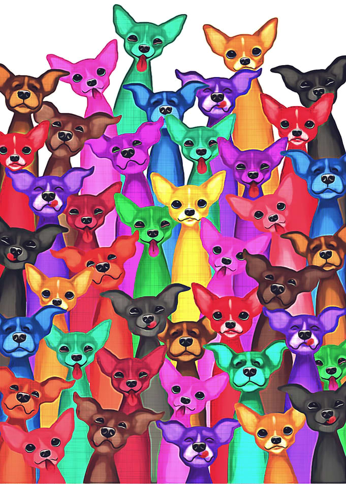 Chihuahua