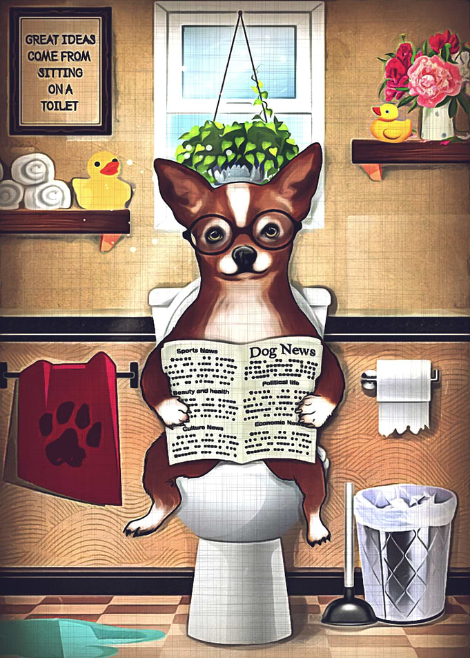 Chihuahua