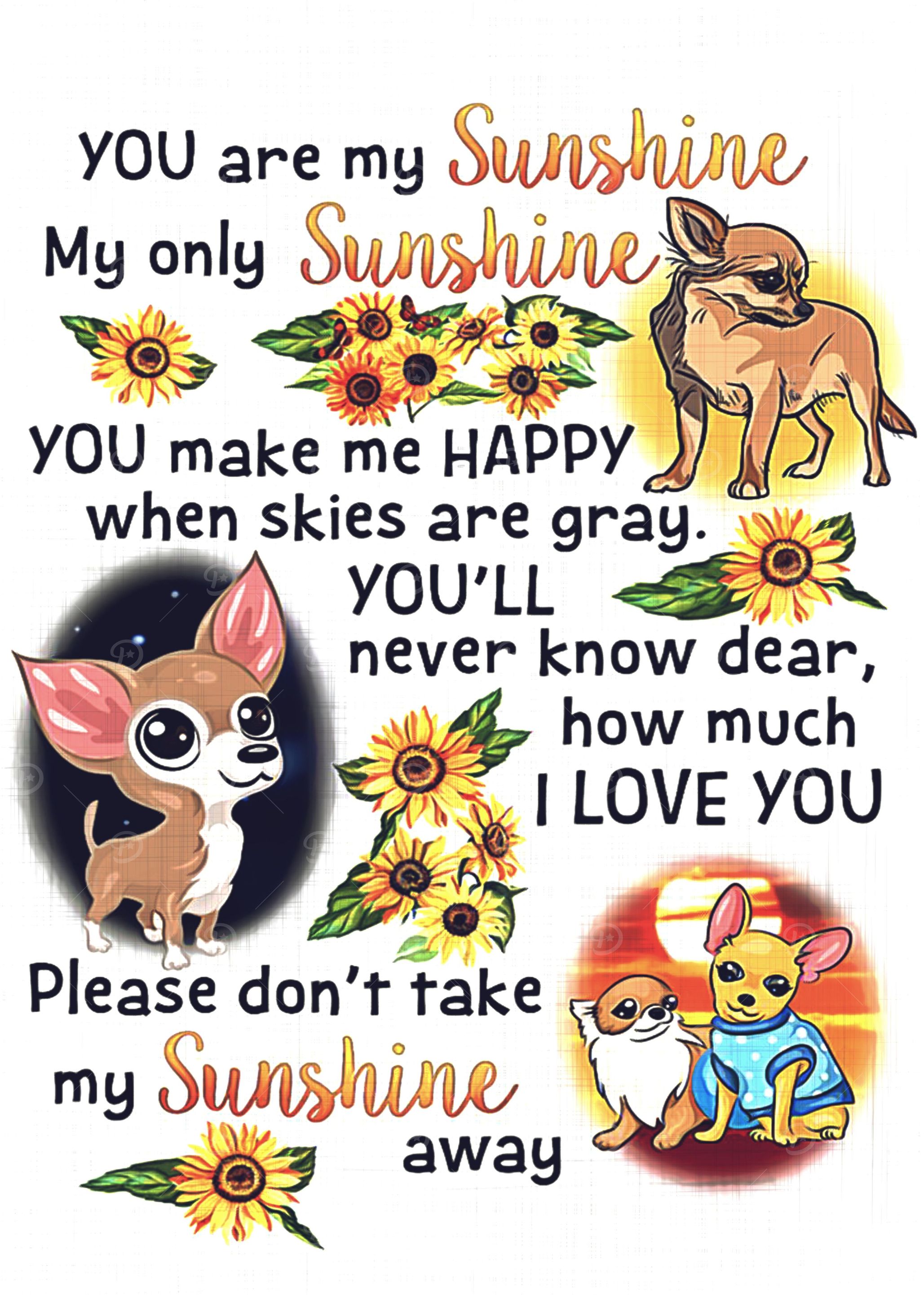 Chihuahua