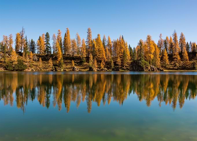 Autumn Forrest
