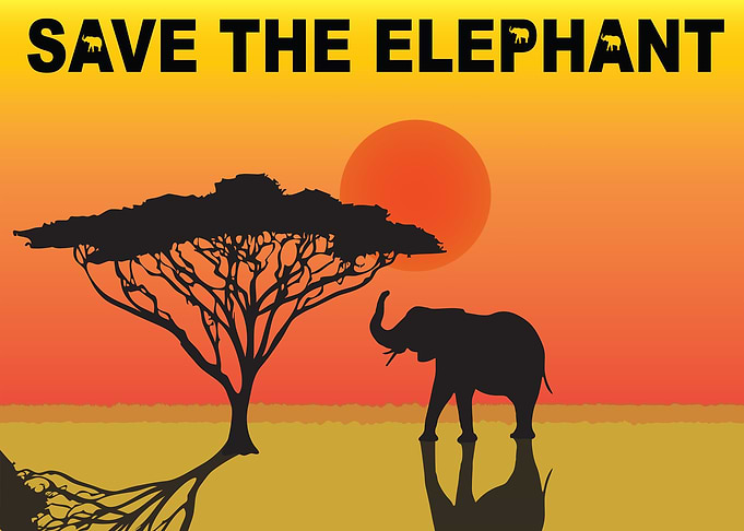 Save the Elephant