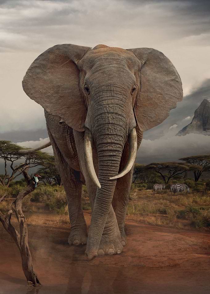 Majestic