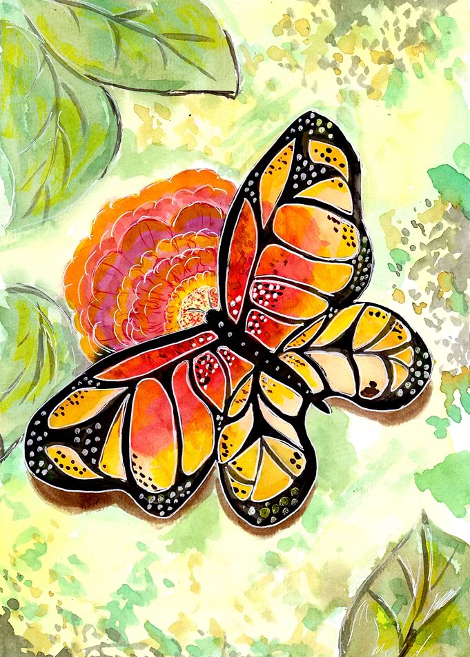 Monarch Butterfly