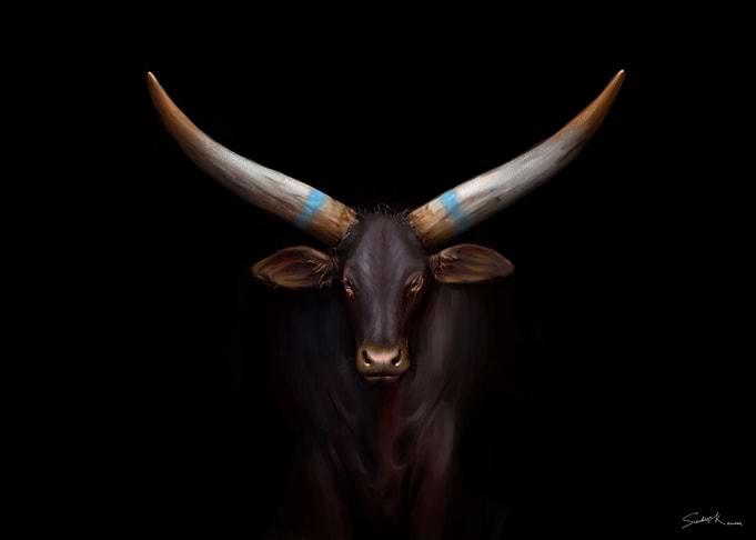 Bull Digital Painting