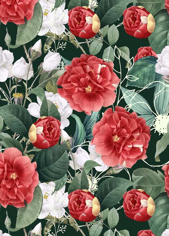 Botanical Wonder