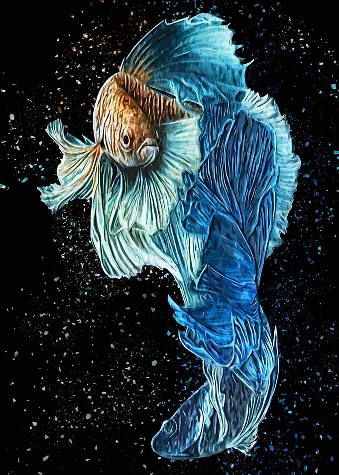 Classic Betta Fish