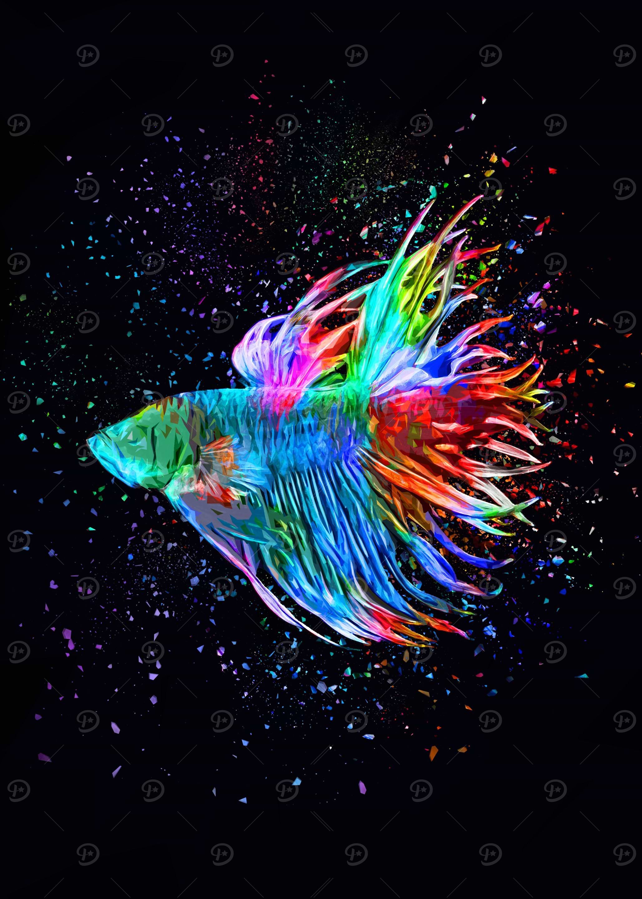 Rainbow Betta fish