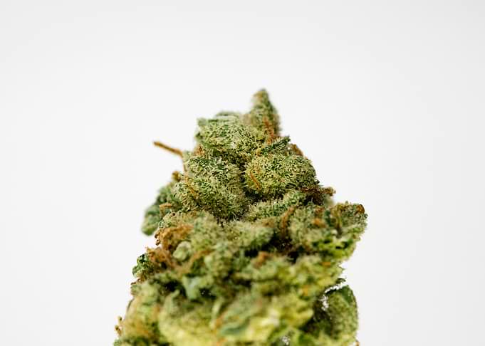 Super lemon haze skunk