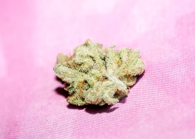 Super lemon haze skunk