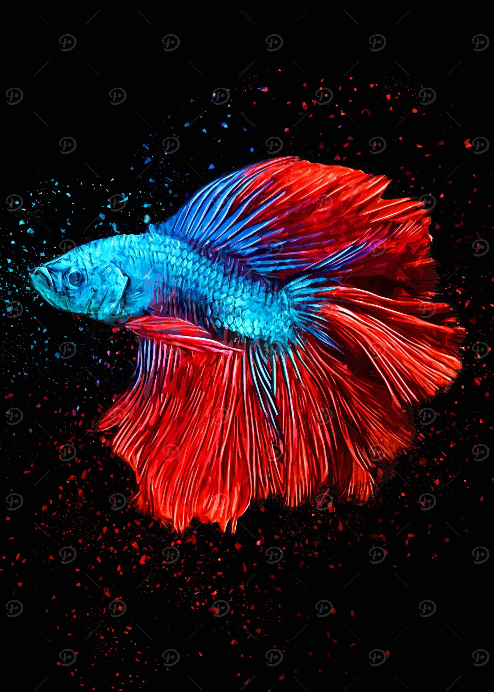 Beauty Betta Fish Pattern
