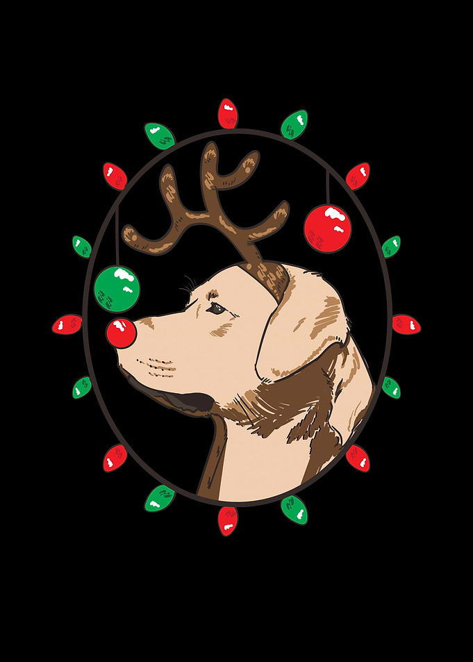 Christmas Reindeer Dog