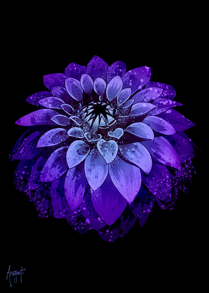 Blue Dahlia