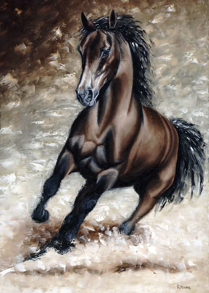 Frisky Arabian
