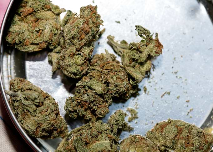 Super lemon haze skunk